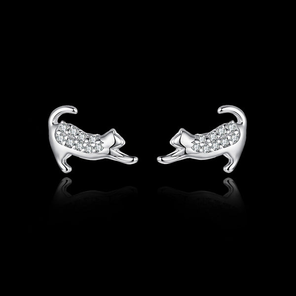 Sølvkatteøredobber